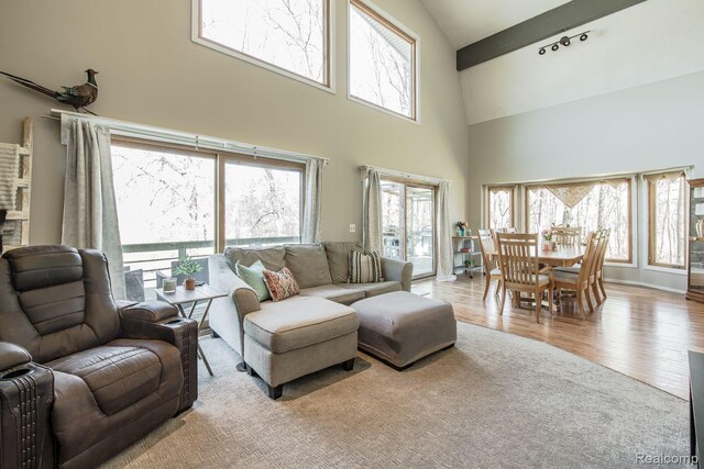 12109 Shaffer Rd, Davisburg, MI 48350 - living area featuring high vaulted ceiling and wood finished floors