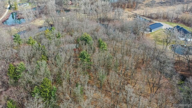 12109 Shaffer Rd, Davisburg, MI 48350 - view from above of property