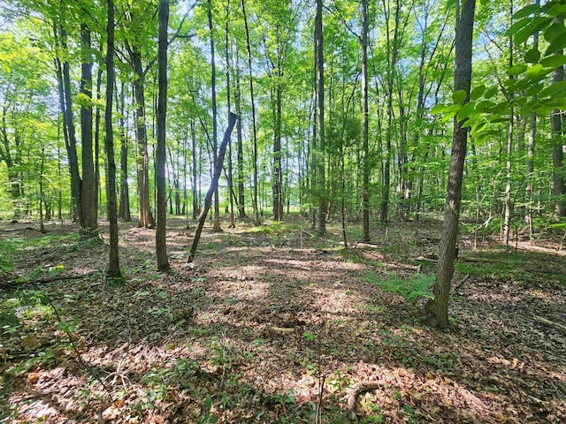 1303 W Gary Rd, Montrose, MI 48457