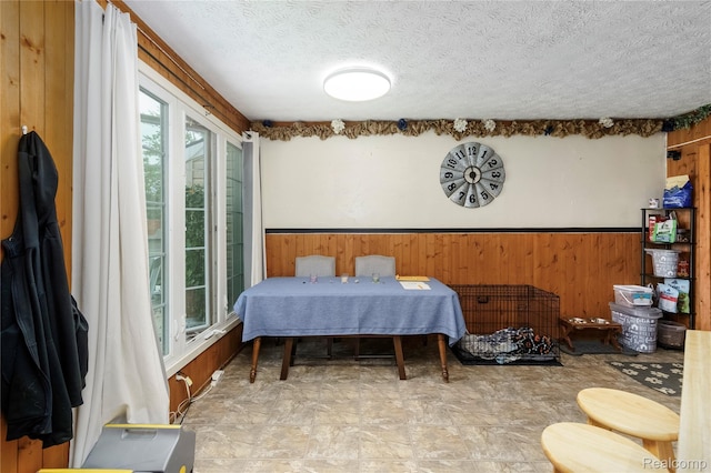 5045 Baldwin Rd, Swartz Creek, MI 48473 - bedroom with wood walls, a textured ceiling, a wainscoted wall, and stone finish floors
