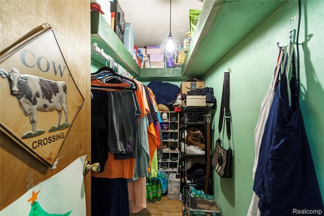 5045 Baldwin Rd, Swartz Creek, MI 48473 - walk in closet with wood finished floors