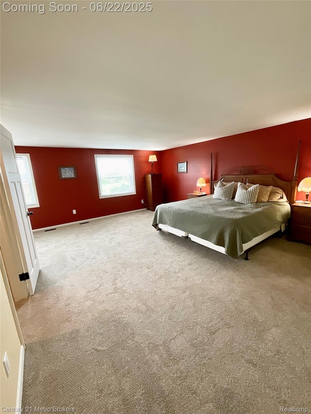 7094 Reid Rd, Swartz Creek, MI 48473 - bedroom featuring carpet floors