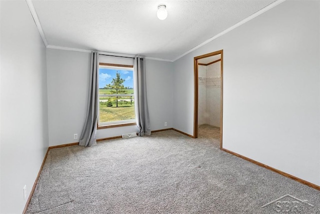 3227 S 11 Mile Rd, Auburn, MI 48611 - carpeted empty room with ornamental molding and a textured ceiling
