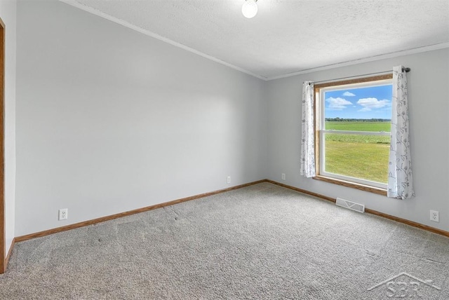 3227 S 11 Mile Rd, Auburn, MI 48611 - carpeted spare room with crown molding and a textured ceiling