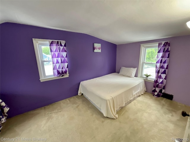 3252 N Term St, Flint, MI 48506 - photo 29