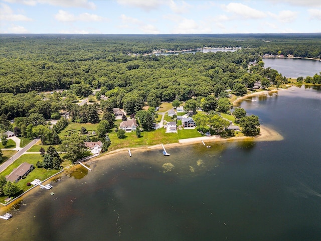 2694 Middle Lake Rd, Twin Lake, MI 49457 - photo 74