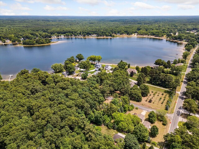 2694 Middle Lake Rd, Twin Lake, MI 49457 - photo 77