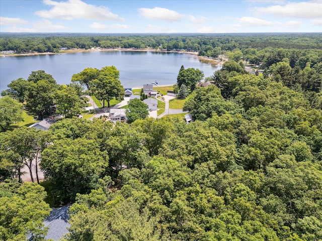 2694 Middle Lake Rd, Twin Lake, MI 49457 - photo 81