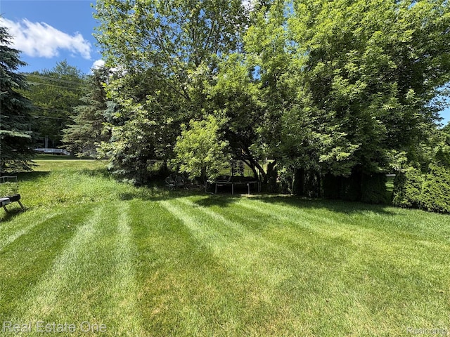 329 Beaver Run, Holly, MI 48442 - photo 35