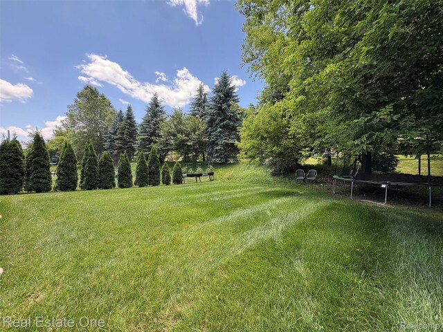 329 Beaver Run, Holly, MI 48442 - photo 34