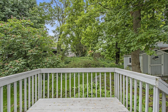 238 Baynton Ave NE, Grand Rapids, MI 49503 - wooden terrace with a storage unit