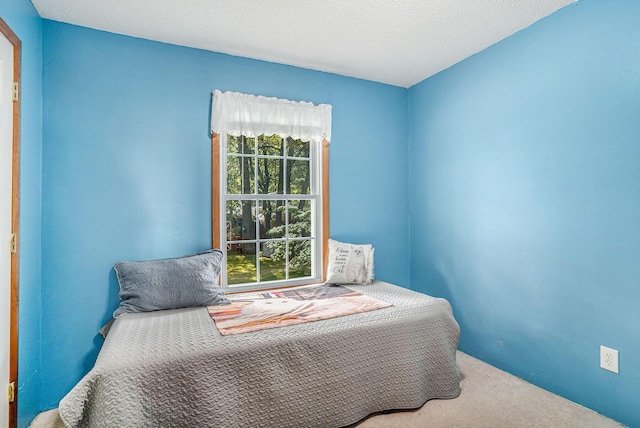 50 S Bock Rd, Muskegon, MI 49442 - bedroom with carpet flooring