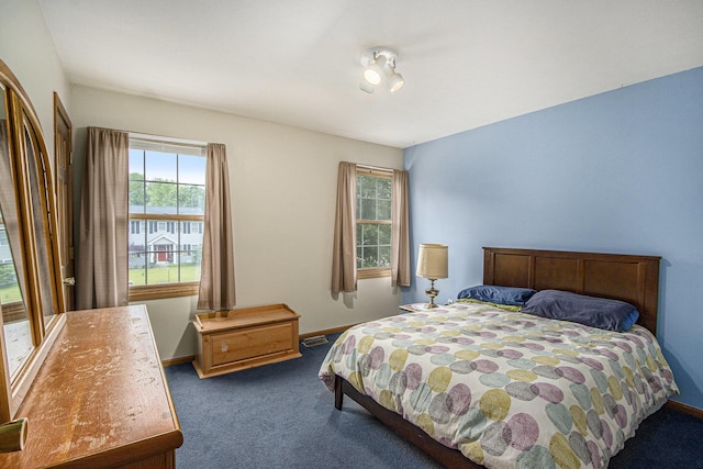 1142 N Peach Ct, Plainwell, MI 49080 - bedroom with multiple windows and carpet floors