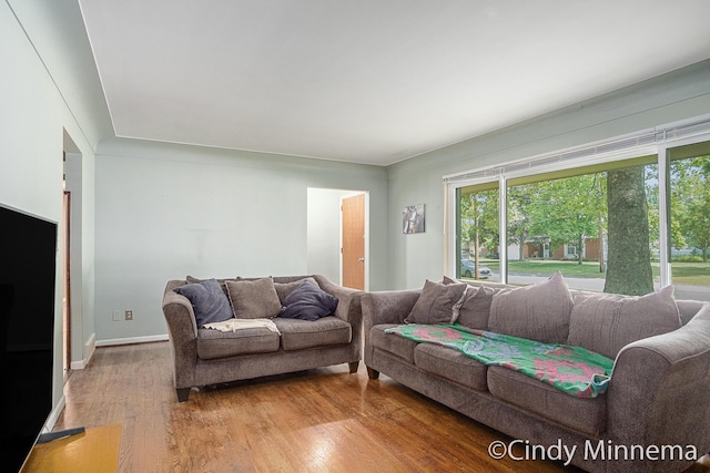 3343 Gateshead St NE, Rockford, MI 49341 - living room with plenty of natural light and light wood-type flooring