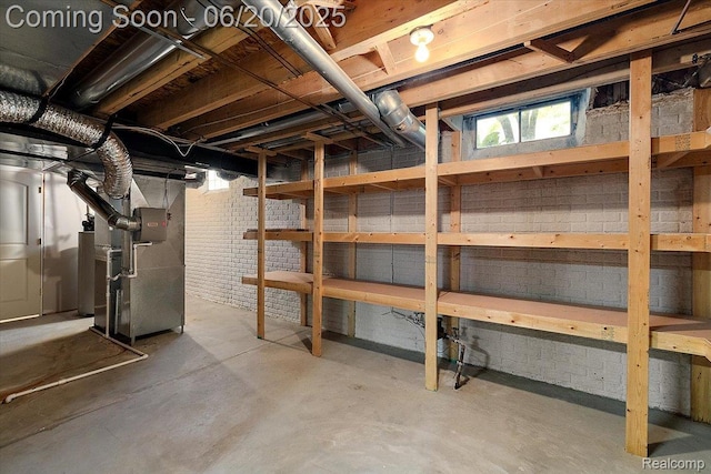 18852 Newbridge Dr, Macomb, MI 48044 - basement with heating unit and water heater