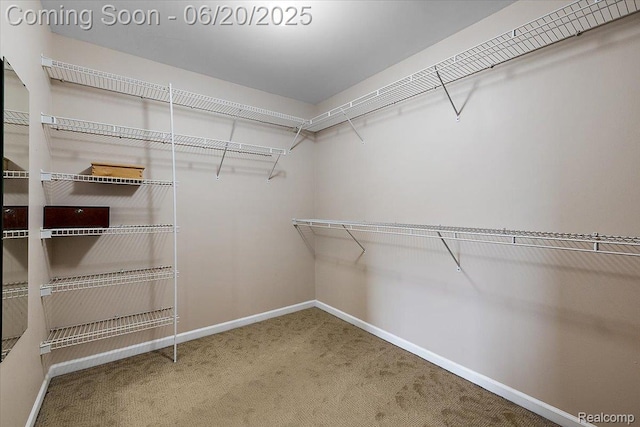 18852 Newbridge Dr, Macomb, MI 48044 - spacious closet featuring carpet