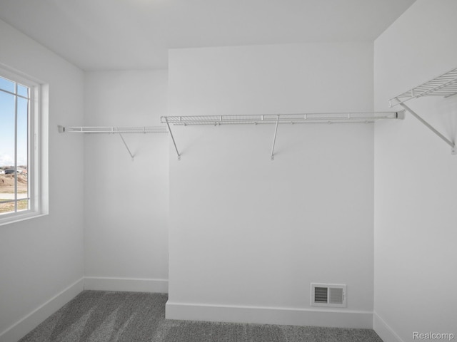 24654 Floret, Macomb, MI 48042 - walk in closet featuring dark carpet