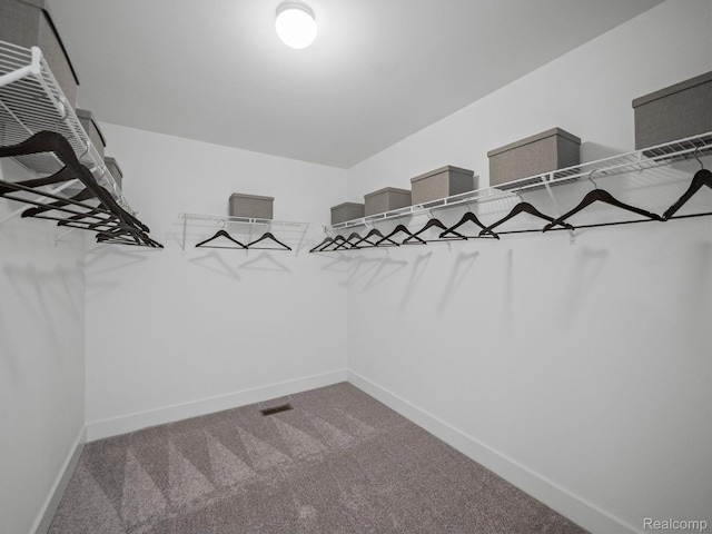 24654 Floret, Macomb, MI 48042 - spacious closet featuring carpet flooring