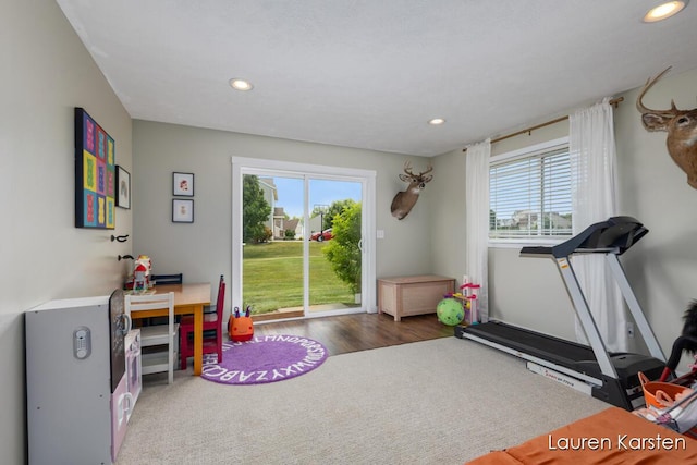14734 Crescent Meadows Dr, Cedar Springs, MI 49319 - recreation room featuring plenty of natural light, recessed lighting, and wood finished floors