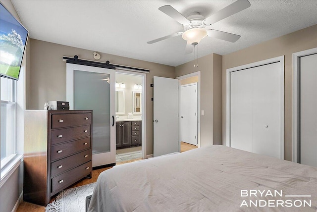 1910 Hall St SE, Grand Rapids, MI 49506 - bedroom with light wood-type flooring, multiple windows, ensuite bathroom, and two closets