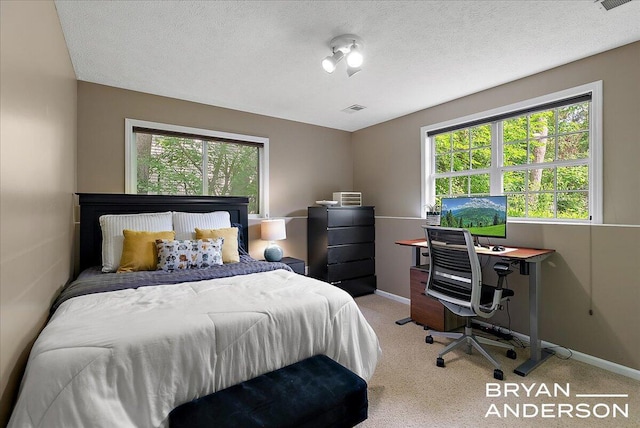 1910 Hall St SE, Grand Rapids, MI 49506 - carpeted bedroom with multiple windows, an office area, and a textured ceiling