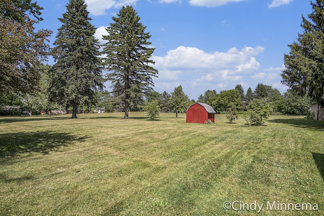 7080 Pine Island Dr NE, Comstock Park, MI 49321 - view of green lawn featuring a storage shed