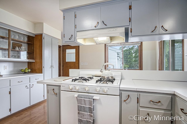7080 Pine Island Dr NE, Comstock Park, MI 49321 - kitchen featuring white gas range oven, under cabinet range hood, light countertops, and light wood-style flooring