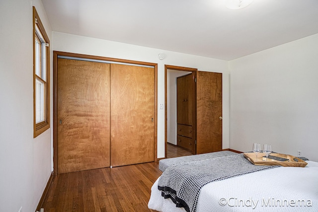 7080 Pine Island Dr NE, Comstock Park, MI 49321 - bedroom with wood finished floors and a closet