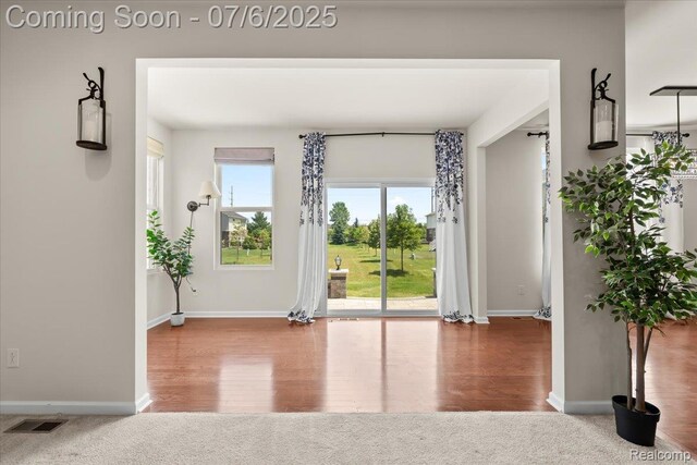 49552 Harrier Pl, Novi, MI 48374 - photo 11