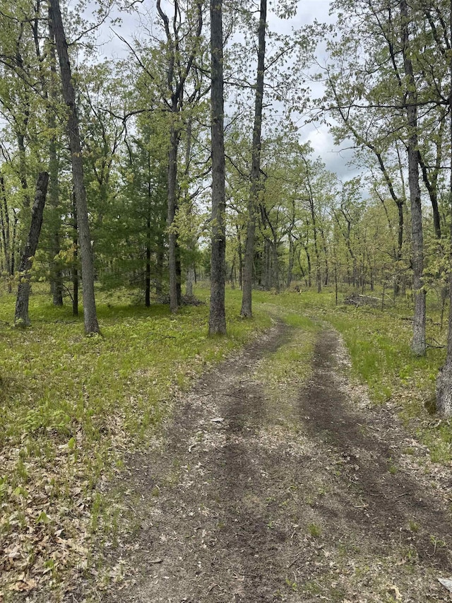 O Jose Rd, Omer, MI 48749