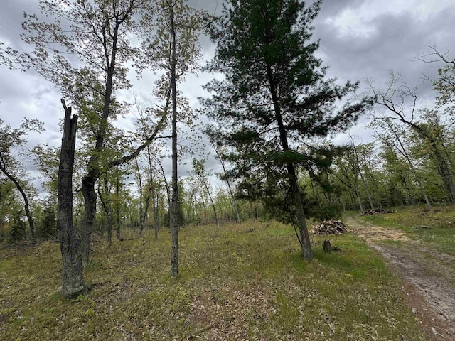 O Jose Rd, Omer, MI 48749