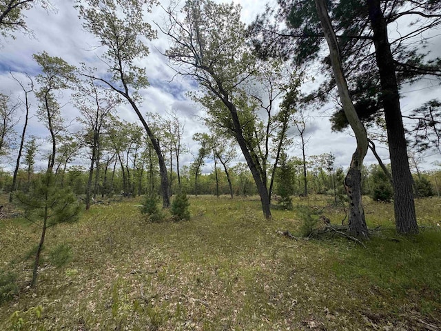 O Jose Rd, Omer, MI 48749