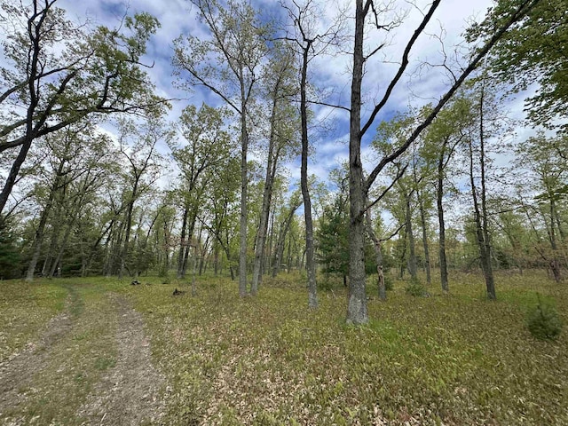 O Jose Rd, Omer, MI 48749