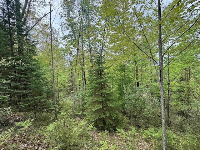 O Jose Rd, Omer, MI 48749