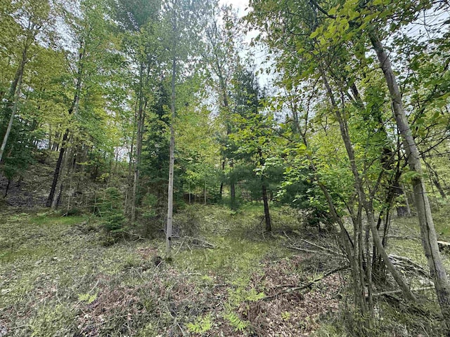 O Jose Rd, Omer, MI 48749