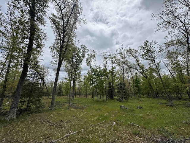 O Jose Rd, Omer, MI 48749