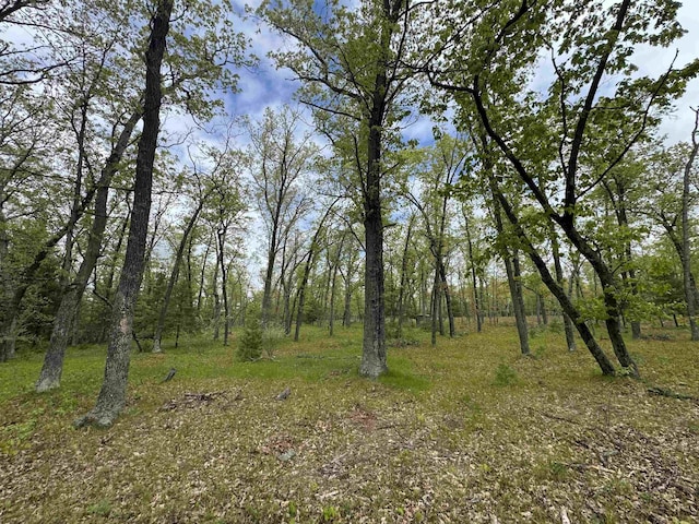 O Jose Rd, Omer, MI 48749