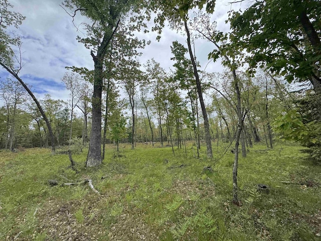 O Jose Rd, Omer, MI 48749