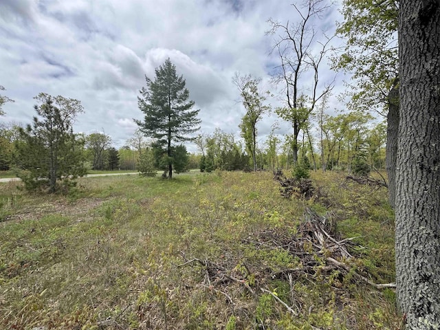 O Jose Rd, Omer, MI 48749