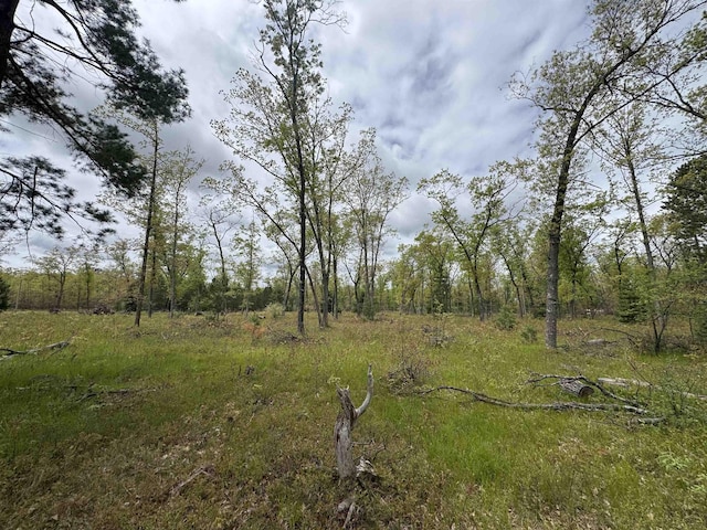O Jose Rd, Omer, MI 48749