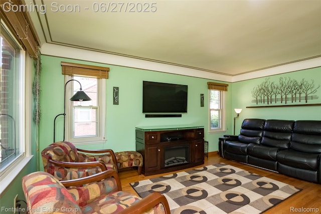 21626 Oconnor St, Saint Clair Shores, MI 48080 - living area with light wood finished floors and plenty of natural light