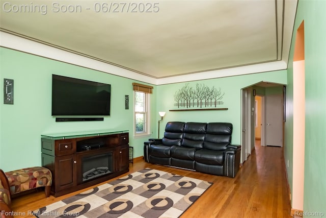 21626 Oconnor St, Saint Clair Shores, MI 48080 - living room featuring light wood-type flooring
