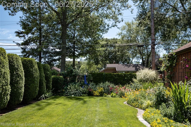 21626 Oconnor St, Saint Clair Shores, MI 48080 - view of green lawn