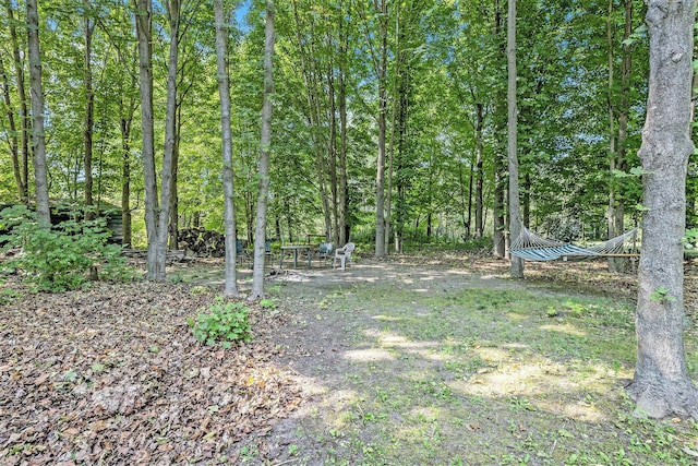 3700 Mapledge Ct NE, Cedar Springs, MI 49319 - view of yard