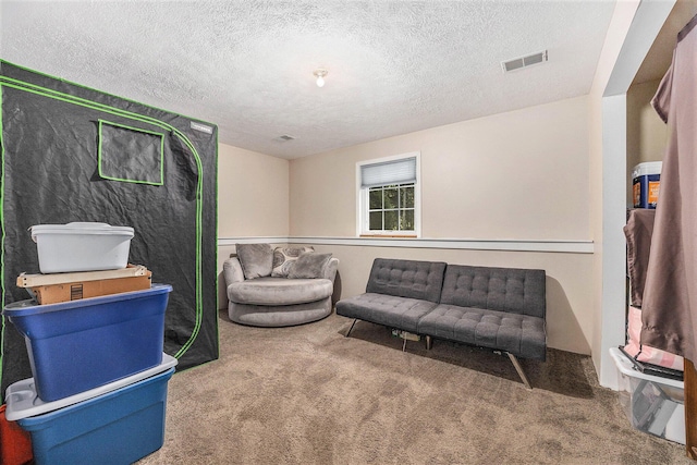 3700 Mapledge Ct NE, Cedar Springs, MI 49319 - living area with carpet floors and a textured ceiling