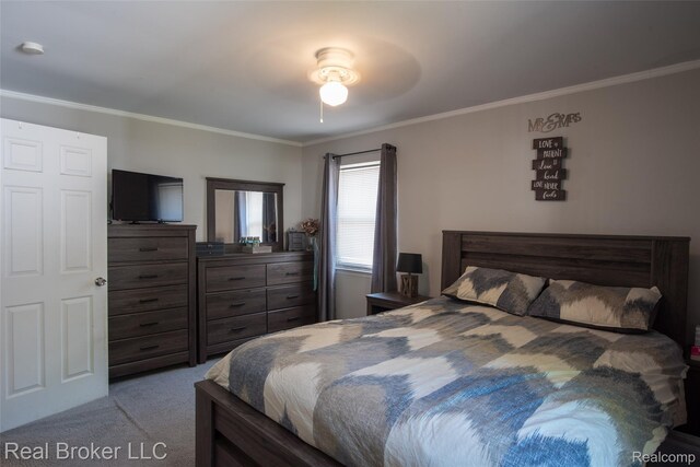29147 Howard Ave, Madison Heights, MI 48071 - photo 15
