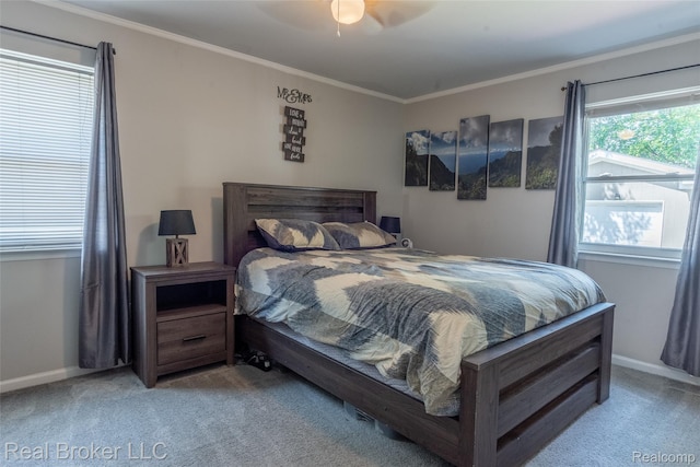 29147 Howard Ave, Madison Heights, MI 48071 - photo 12