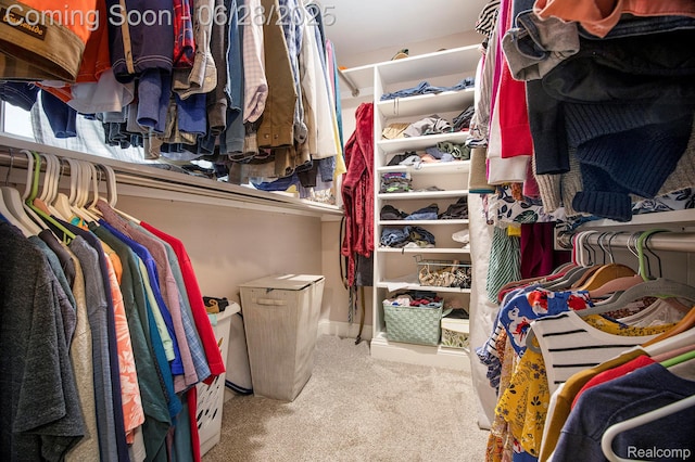 2371 Bradford Dr, Grand Blanc, MI 48507 - spacious closet featuring carpet floors