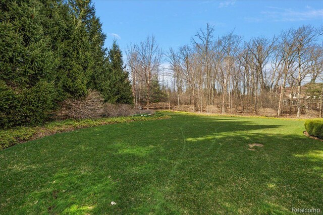 2779 Turtle Lake Dr, Bloomfield Hills, MI 48302 - photo 89