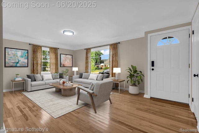 1717 Penistone St, Lake Orion, MI 48009 - living area with light wood-style flooring and baseboards